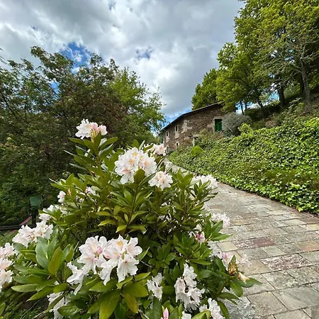 Couso Relax * Sarreaus