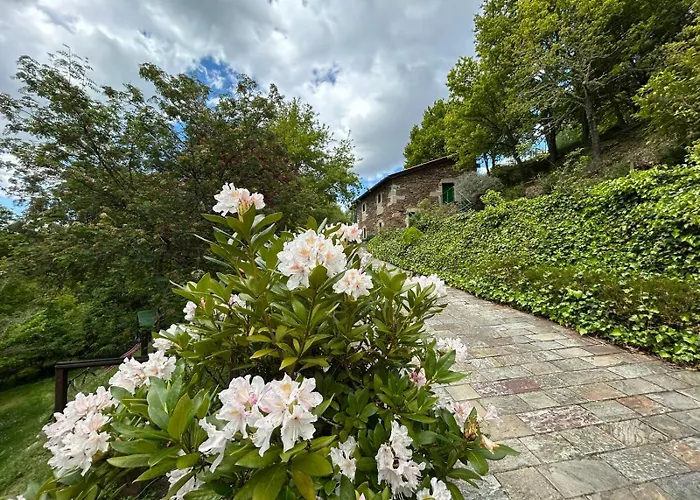 Couso Relax * Сарреаус