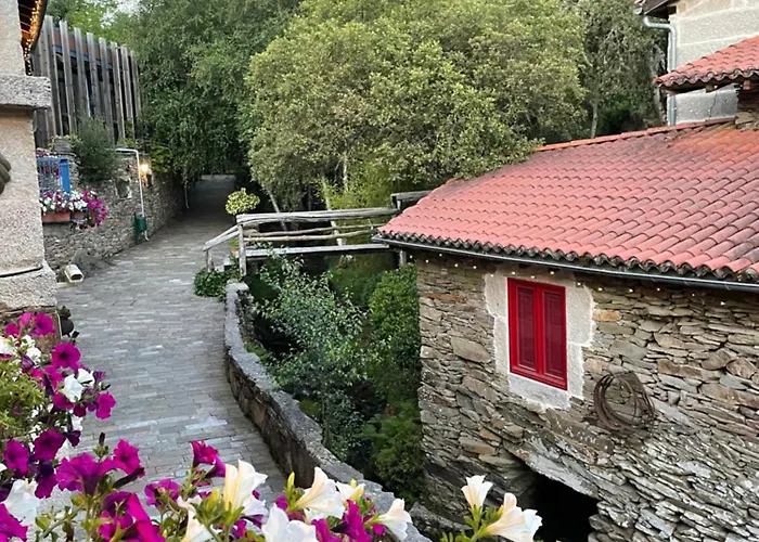 Отель Couso Relax